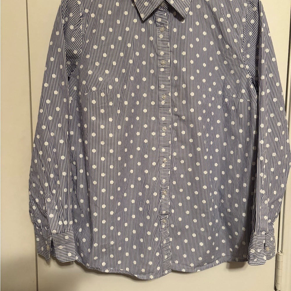Talbots Navy & White Striped Polka Dot Button-Down Shirt